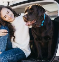 Comment protéger ses sièges de voiture quand on a un chien ?